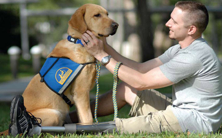 Free Service Dog Registration